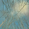 Look to the Sky,     Oil on canvas,  15 x 30