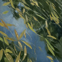 Floating green and gold #3, 16 x 20