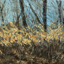 Gold Dust   Oil on board  12 x 9