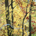 Tapestry Gold  Oil on canvas  48 x 32